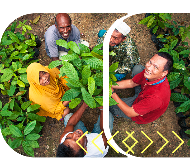 climate farmers holding a large plant with green leafs