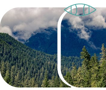 Green CIVIC tech accelerator